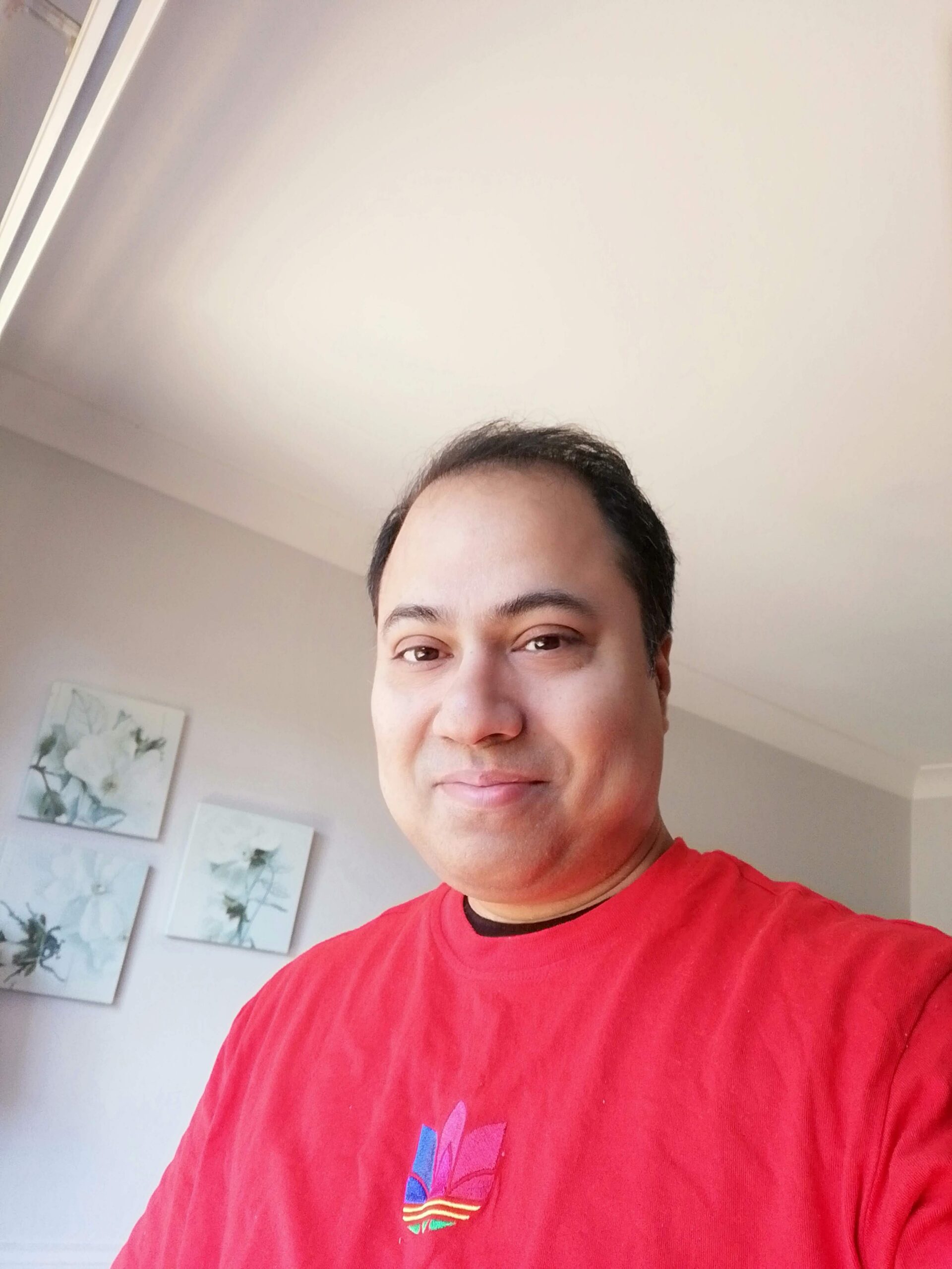 Sydney Web Design - SOUVICK MUKHERJEE souvick@yahoo.com Web Development WordPress Godaddy Design and Development